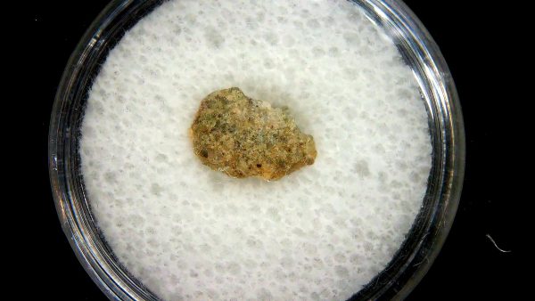 New Mexico Trinity Nuclear Bomb Test - Trinitite 86a | Fossils for Sale