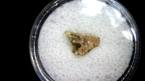 New Mexico Trinity Nuclear Bomb Test - Trinitite 87a | Fossils for Sale