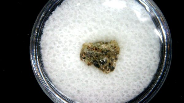 New Mexico Trinity Nuclear Bomb Test - Trinitite 88a | Fossils for Sale