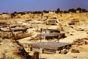 By PePeEfe - Own work, CC BY-SA 4.0, https://commons.wikimedia.org/w/index.php?curid=17667607 Buy Fossil Sonhofen Fossils