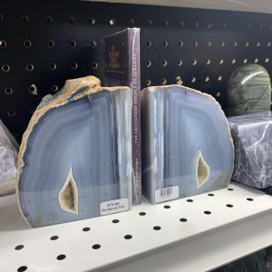 unnamed 1 | Fossils for Sale