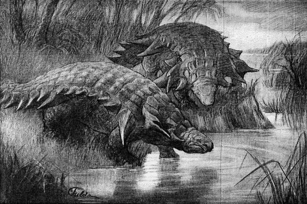 By E.M. Fulda - https://scientists.dmns.org/sites/kencarpenter/Ankylosaur%20Library/Ankylosaur%20PDF%20Library.aspx, Public Domain, https://commons.wikimedia.org/w/index.php?curid=4497407 Edmontonia