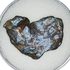 Gebel Kamil Meteorite from Egypt - Fell over 5000 years ago #18