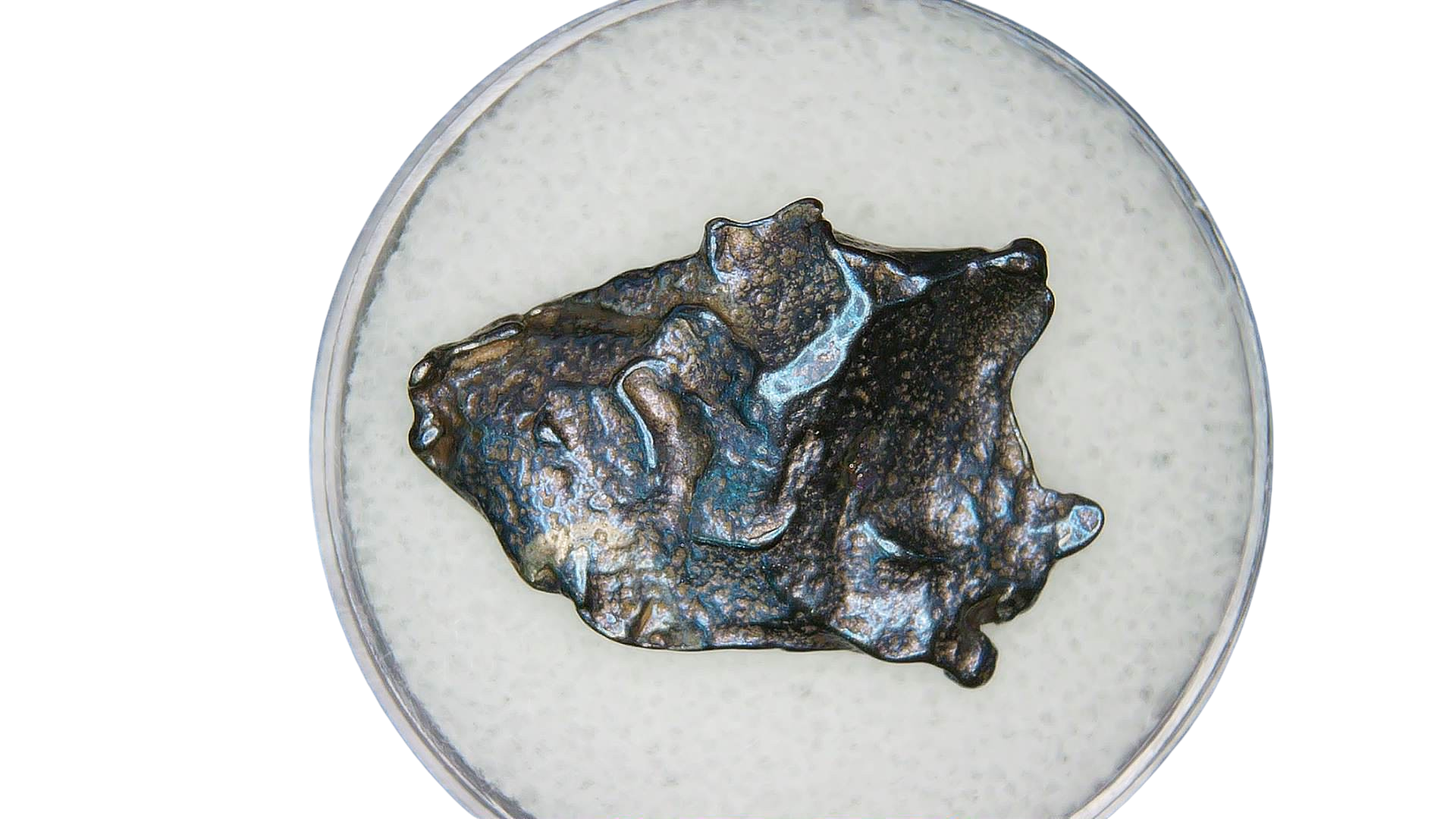 Egyptian Gebel Kamil Iron Meteorite Fell 5000 Years Ago 22 | Fossils for Sale