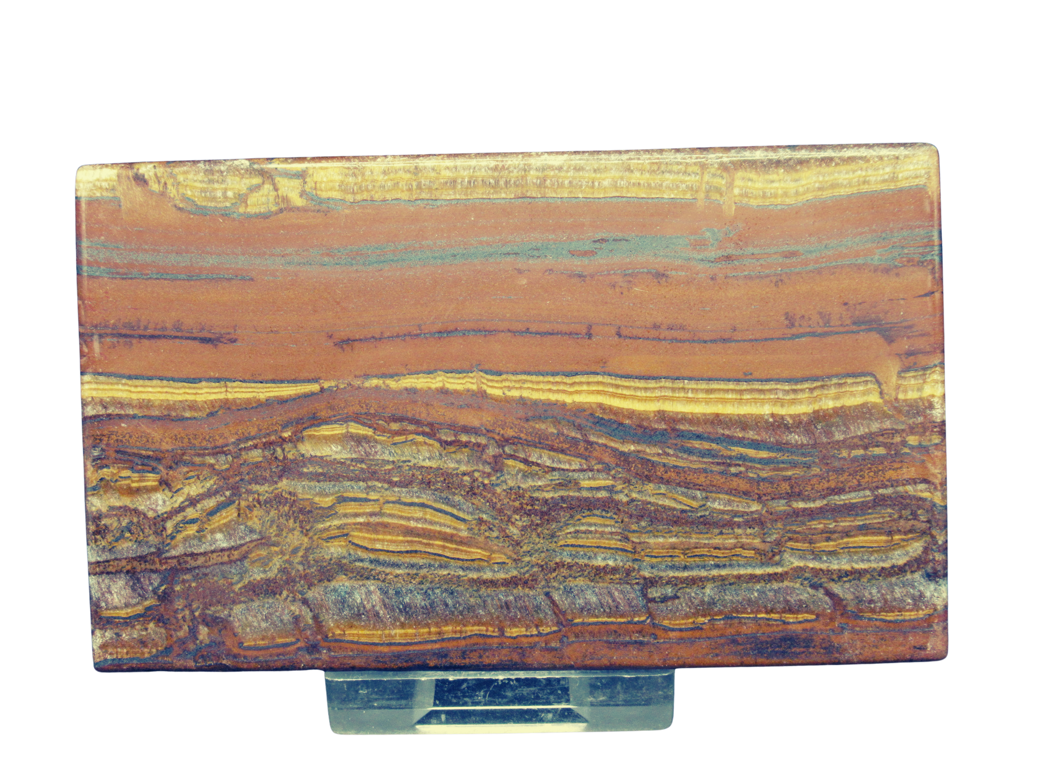 Packsaddle Tigers Eye Polished Slab from Western Australia 11 | Fossils for Sale