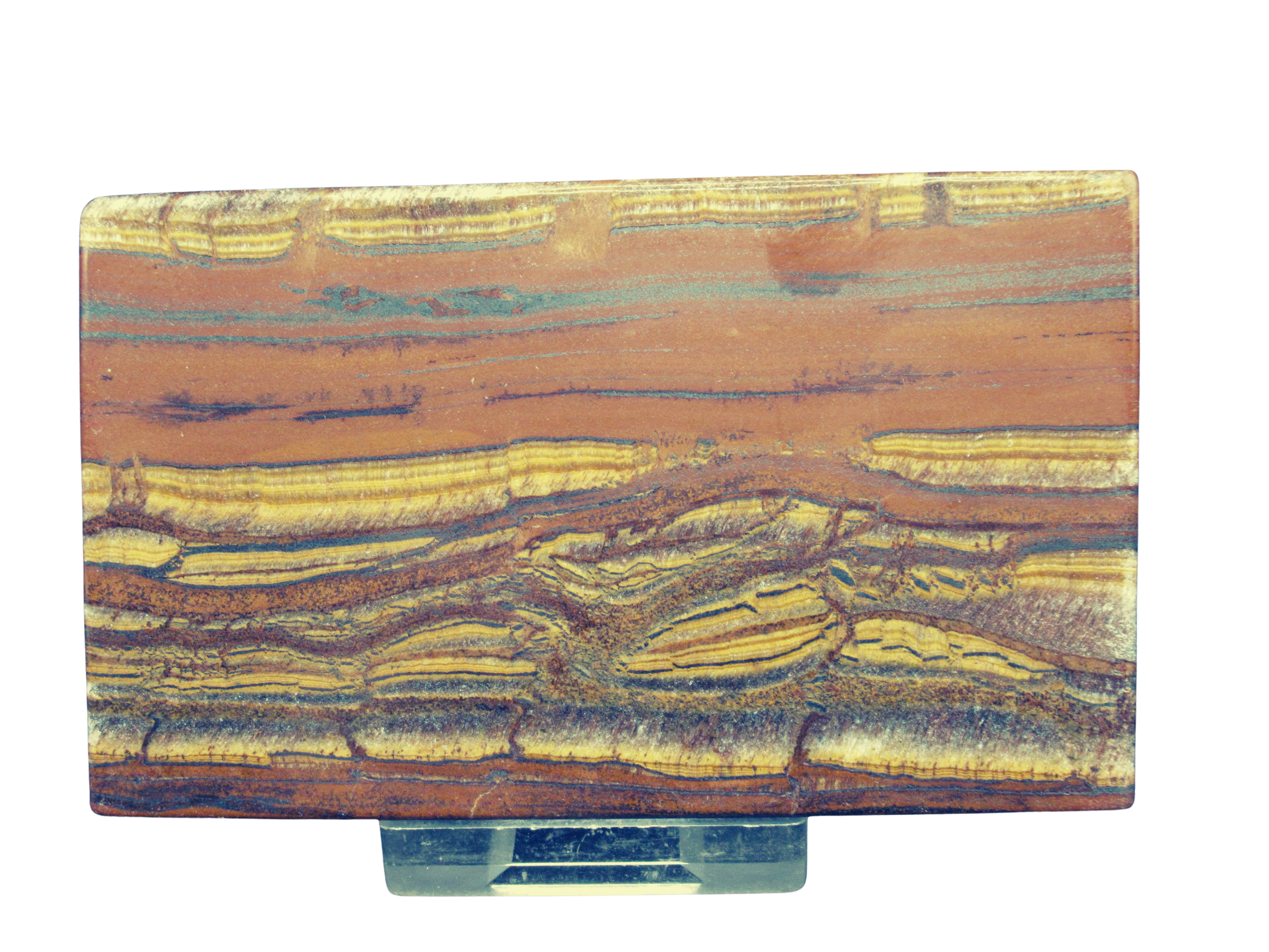 Packsaddle Tigers Eye Polished Slab from Western Australia 11A | Fossils for Sale