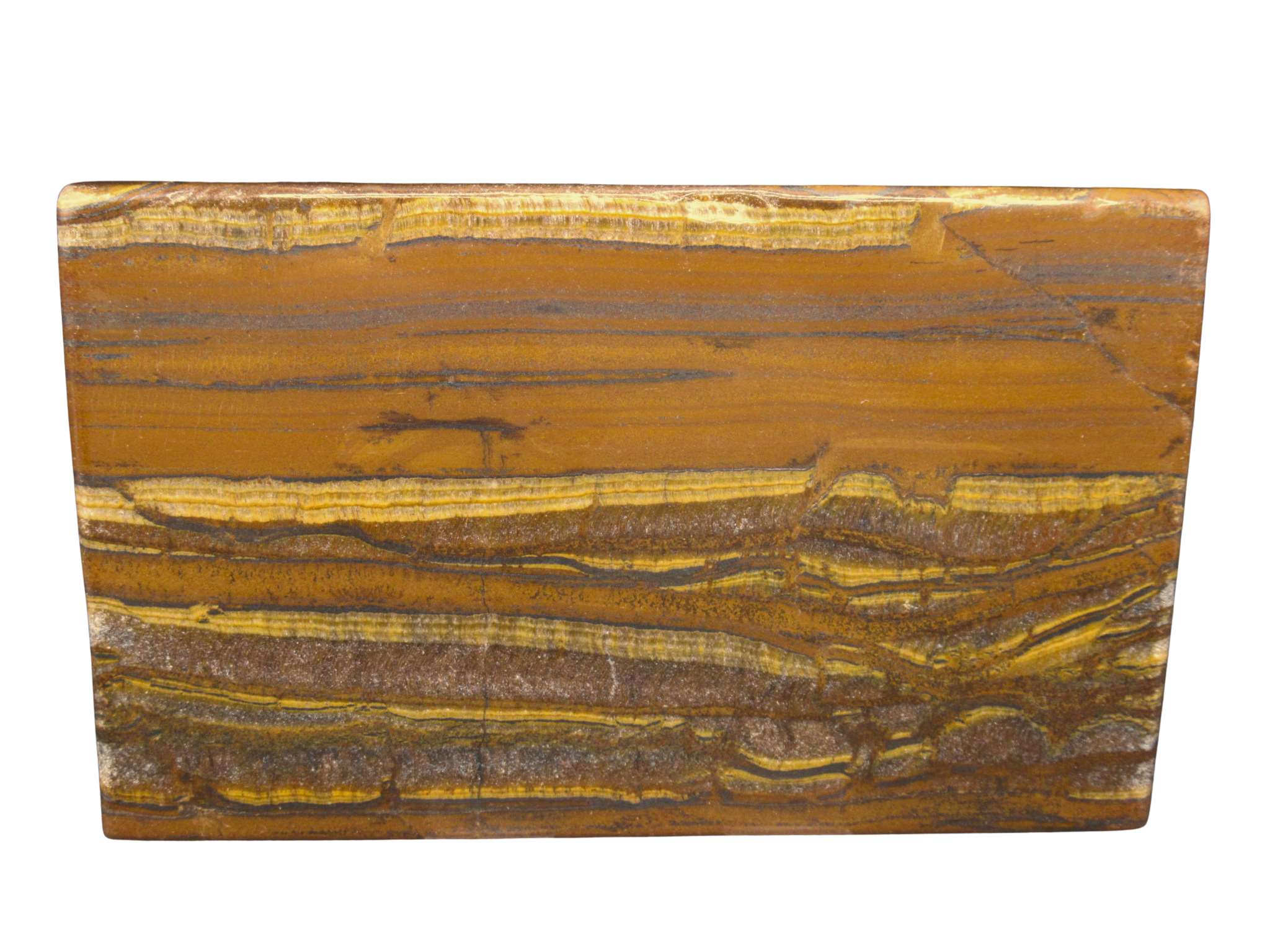 Packsaddle Tigers Eye Polished Slab from Western Australia 2 | Fossils for Sale