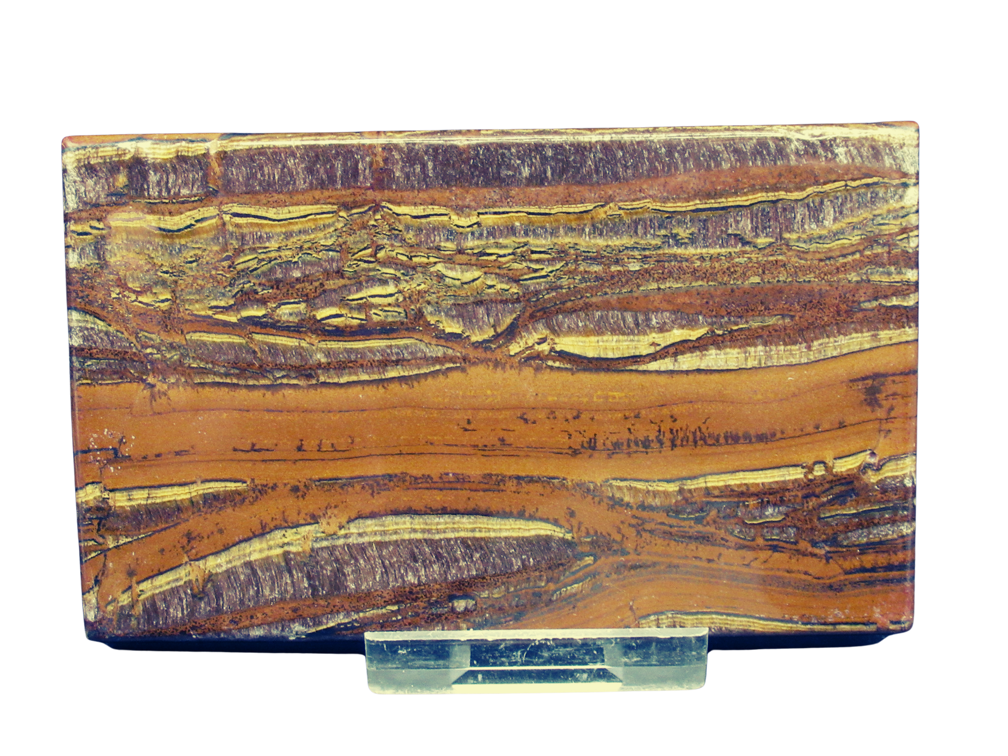 Packsaddle Tigers Eye Polished Slab from Western Australia 4 | Fossils for Sale