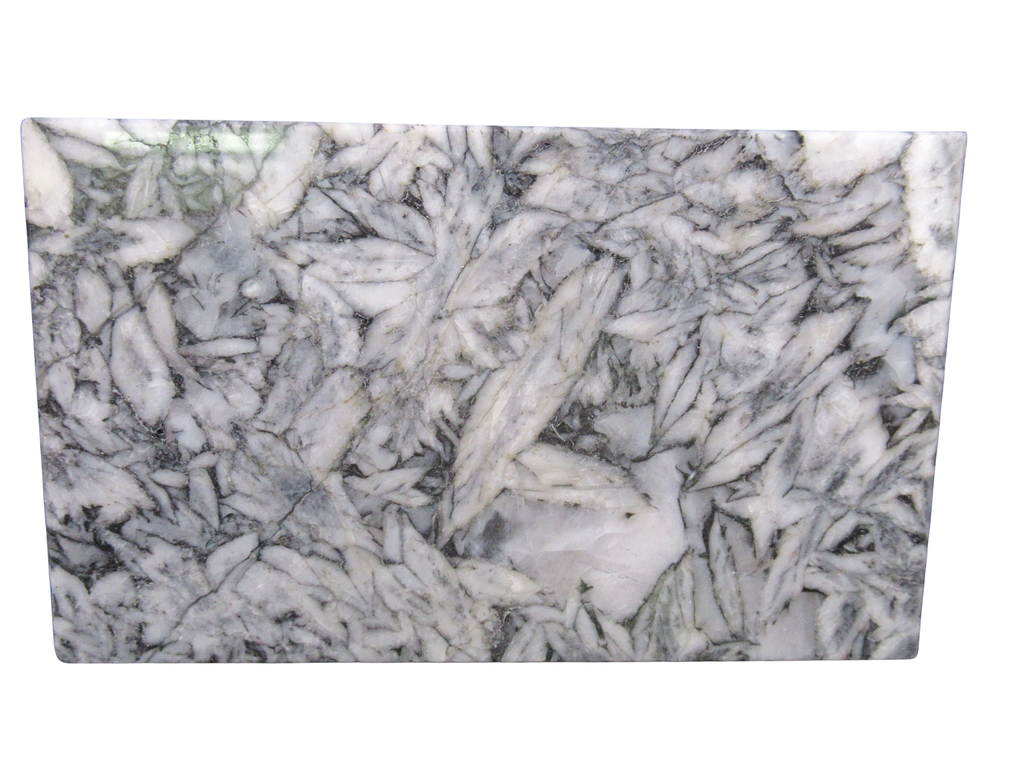 Pinolith Pinolite Polished Mineral Slab from Austria 10a | Fossils for Sale