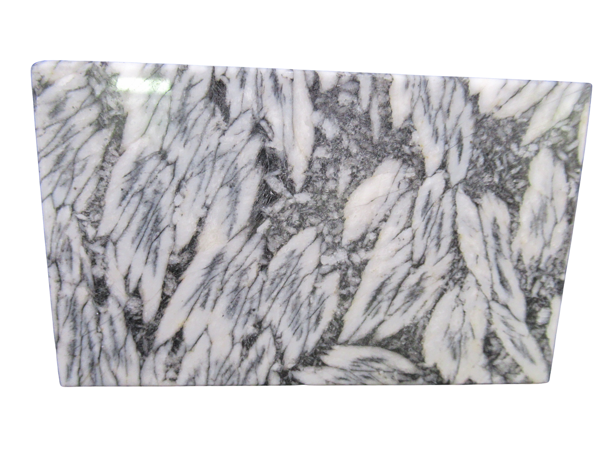Pinolith Pinolite Polished Mineral Slab from Austria 4a | Fossils for Sale