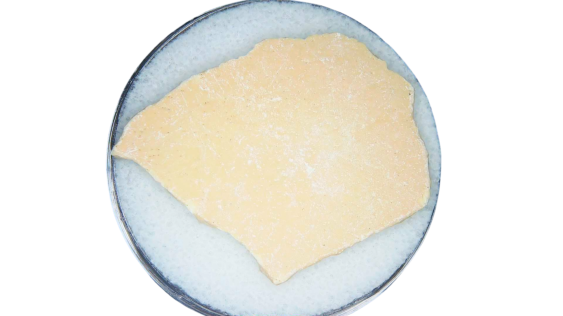 Pleistocene to Holocene Aepyornis Elephant Bird Eggshell 12 | Fossils for Sale