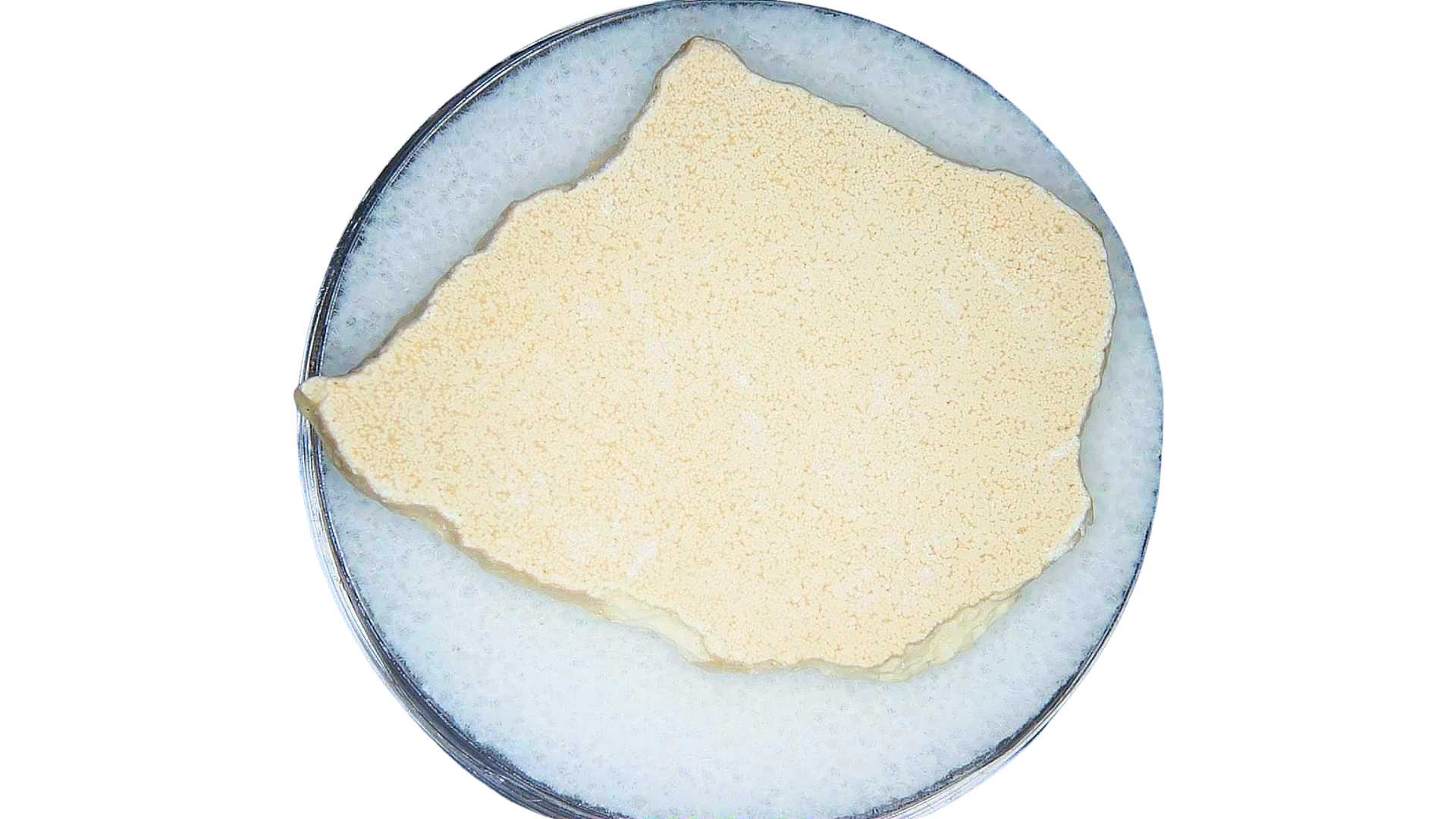 Pleistocene to Holocene Aepyornis Elephant Bird Eggshell 12a | Fossils for Sale