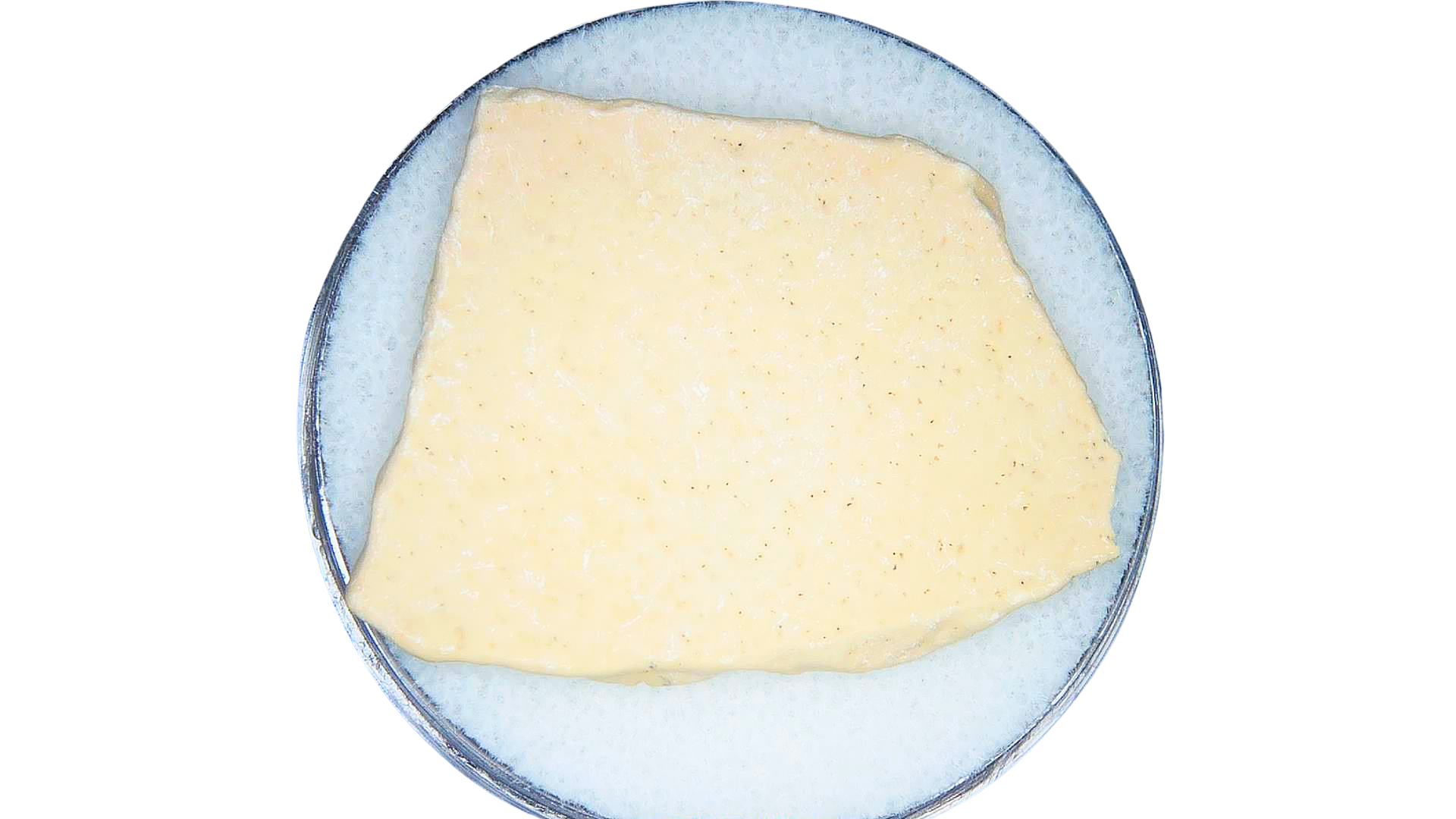 Pleistocene to Holocene Aepyornis Elephant Bird Eggshell 14 | Fossils for Sale