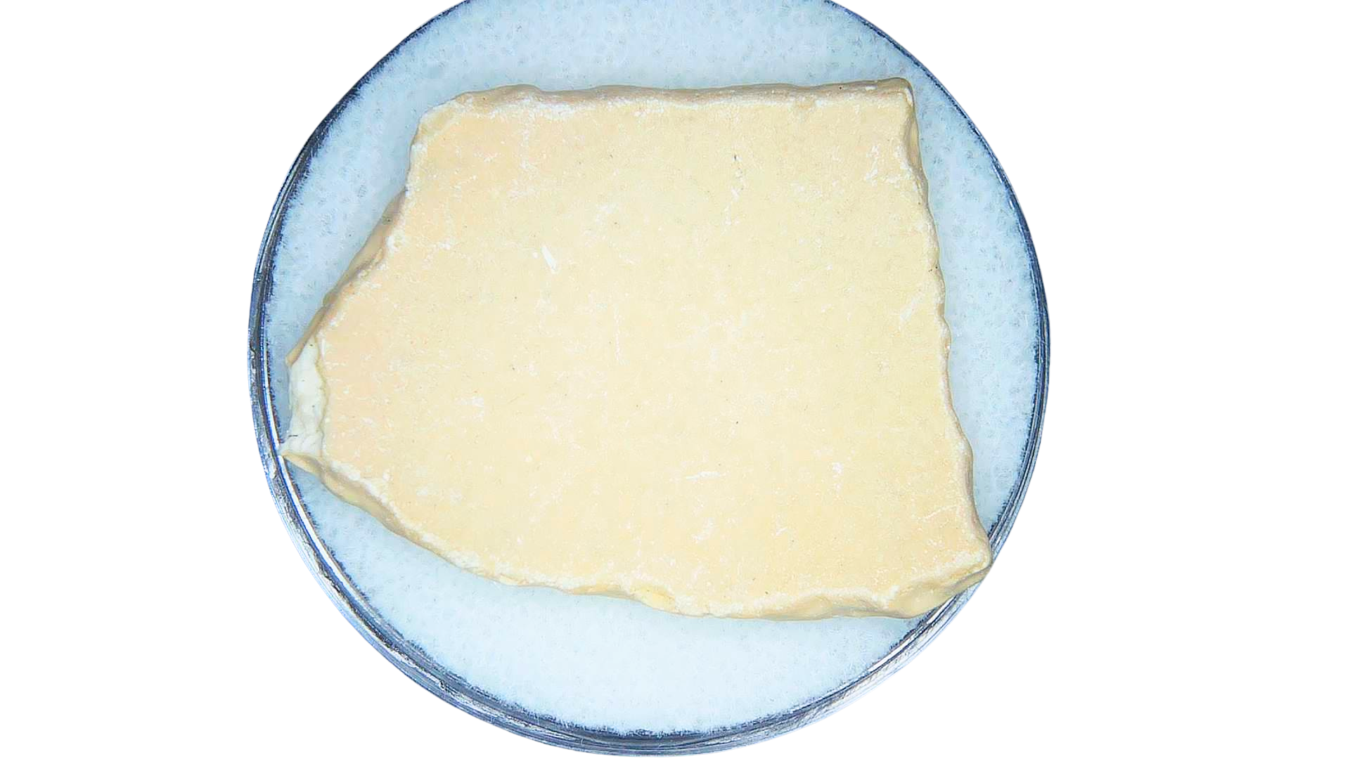 Pleistocene to Holocene Aepyornis Elephant Bird Eggshell 14a | Fossils for Sale