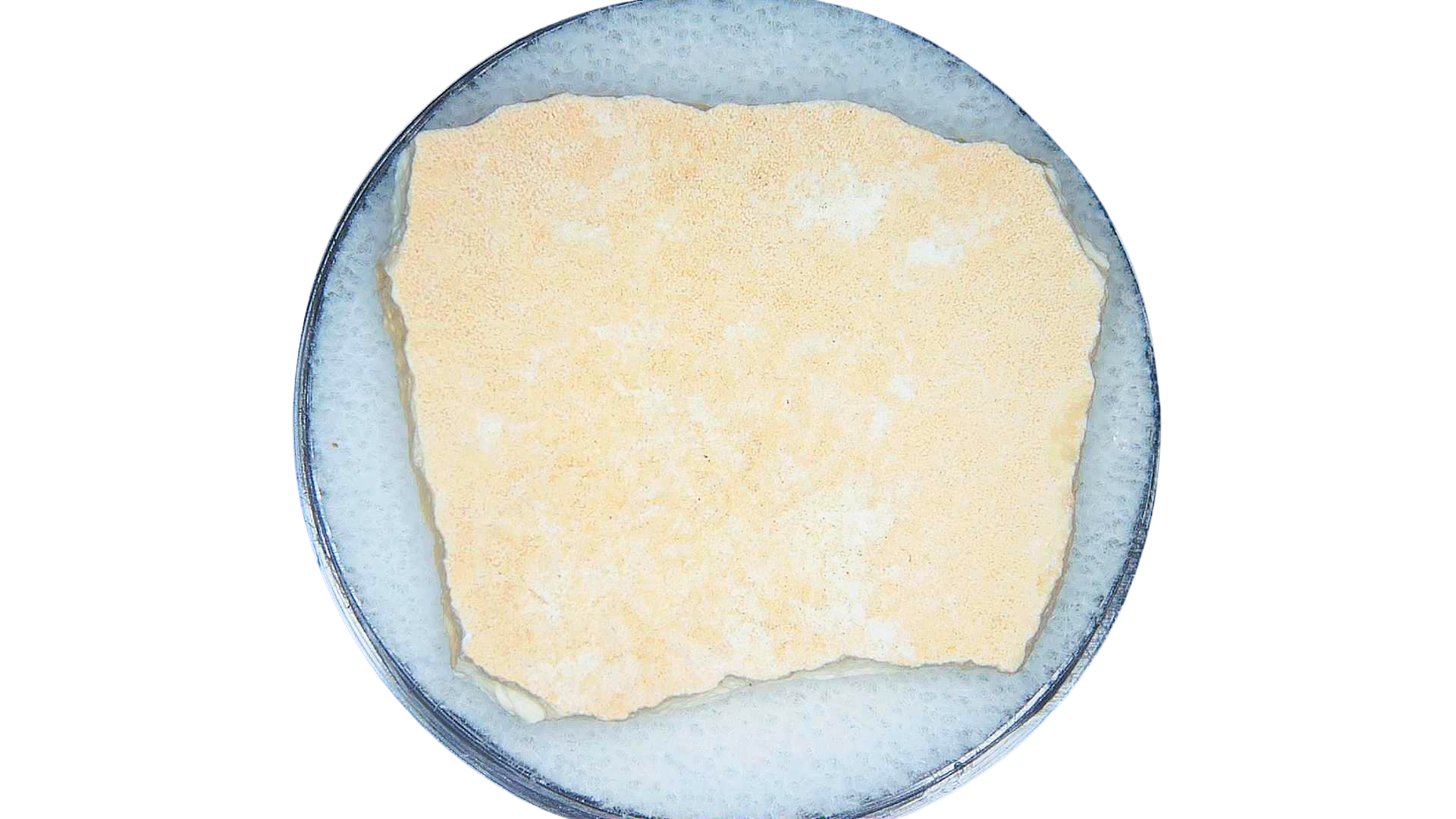 Pleistocene to Holocene Aepyornis Elephant Bird Eggshell 16a | Fossils for Sale