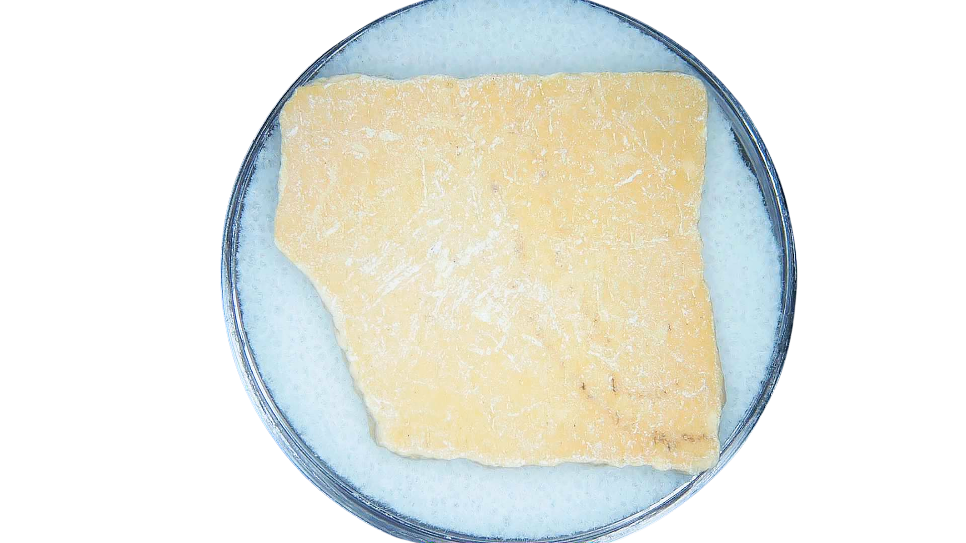 Pleistocene to Holocene Aepyornis Elephant Bird Eggshell 17 | Fossils for Sale