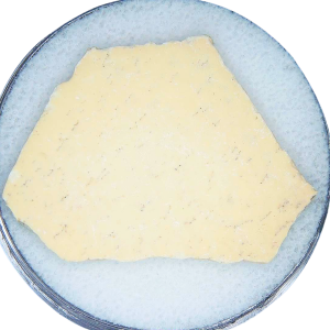 Pleistocene to Holocene Aepyornis Elephant Bird Eggshell 2 | Fossils for Sale