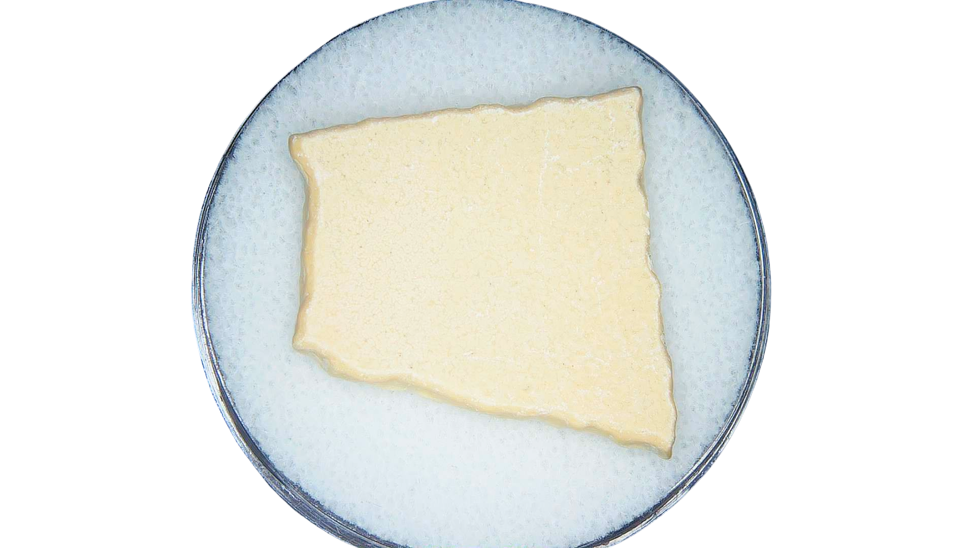 Pleistocene to Holocene Aepyornis Elephant Bird Eggshell 3a | Fossils for Sale