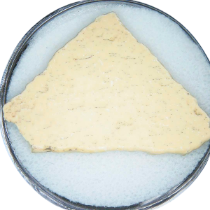 Pleistocene to Holocene Aepyornis Elephant Bird Eggshell 6 | Fossils for Sale