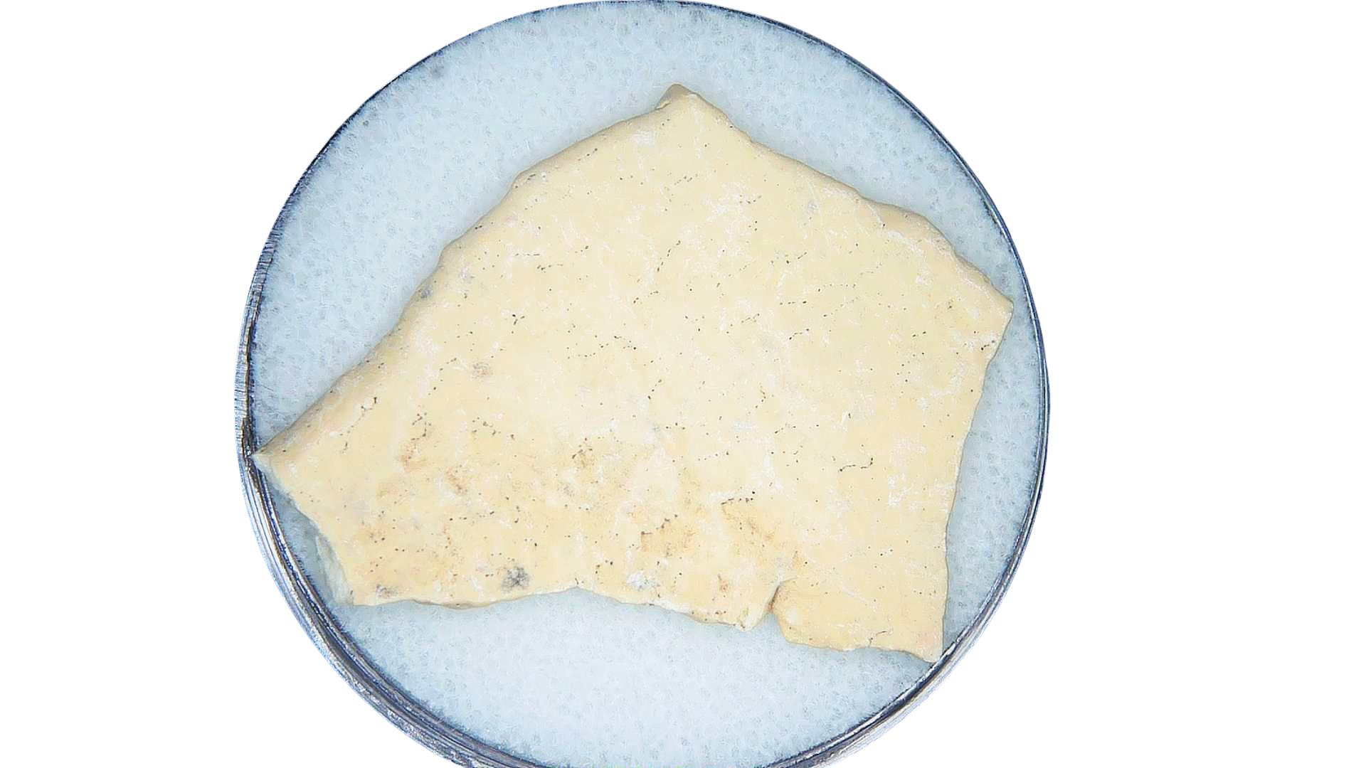 Pleistocene to Holocene Aepyornis Elephant Bird Eggshell 7 | Fossils for Sale