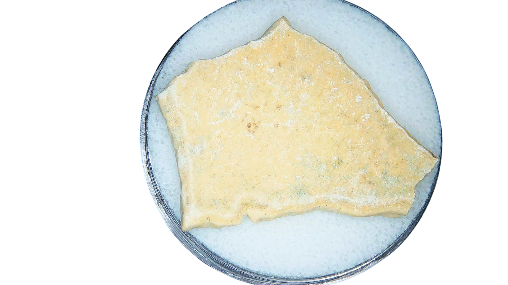 Pleistocene to Holocene Aepyornis Elephant Bird Eggshell 7a | Fossils for Sale