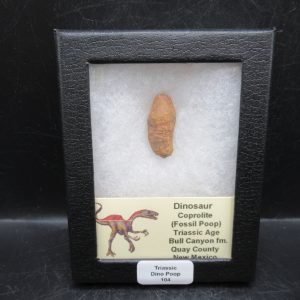Coprolite - Triassic Dinosaur Poop for Sale from New Mexico #104