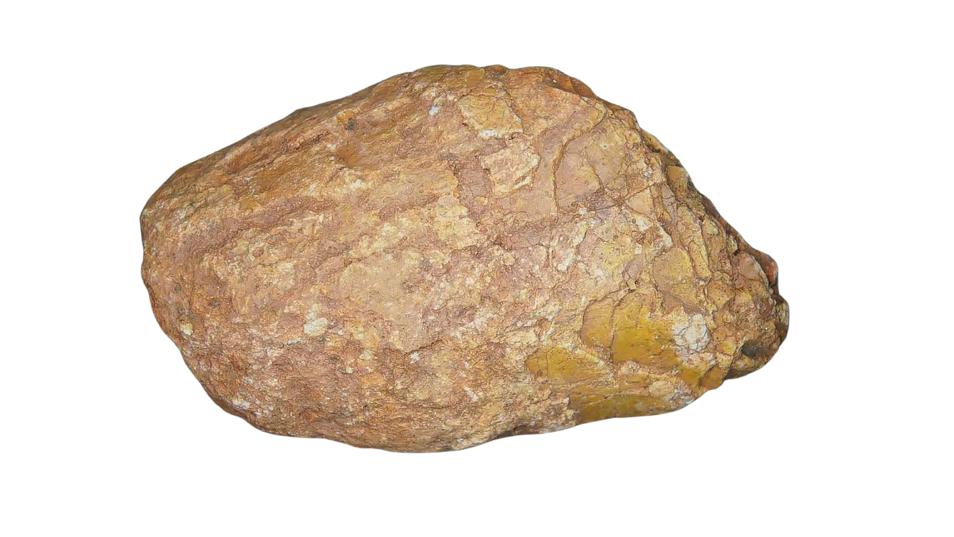 Triassic Age Dinosaur Coprolite from Bull Canyon Formation New Mexico 105b | Fossils for Sale