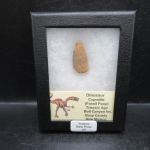 Coprolite - Triassic Dinosaur Poop for Sale from New Mexico #107