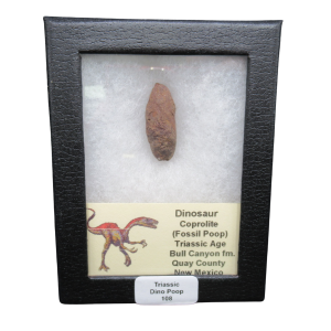 Coprolite - Triassic Dinosaur Poop for Sale from New Mexico #108