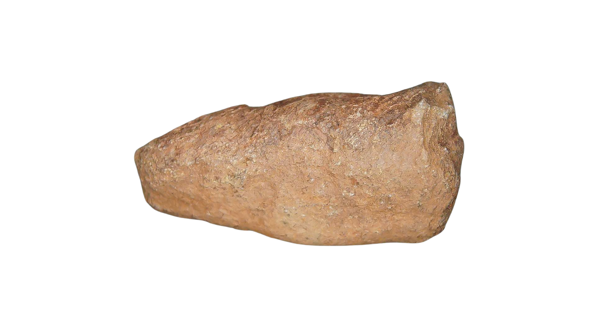 Triassic Age Dinosaur Coprolite from Bull Canyon Formation New Mexico 109a | Fossils for Sale