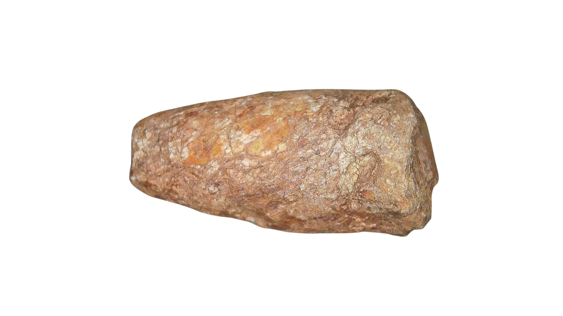 Triassic Age Dinosaur Coprolite from Bull Canyon Formation New Mexico 109b | Fossils for Sale