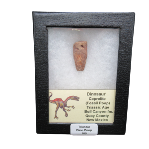 Coprolite - Triassic Dinosaur Poop for Sale from New Mexico #109