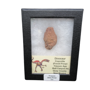 Coprolite - Triassic Dinosaur Poop for Sale from New Mexico #111