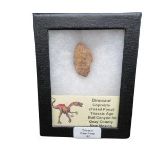 Coprolite - Triassic Dinosaur Poop for Sale from New Mexico #112