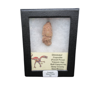 Coprolite - Triassic Dinosaur Poop for Sale from New Mexico #93