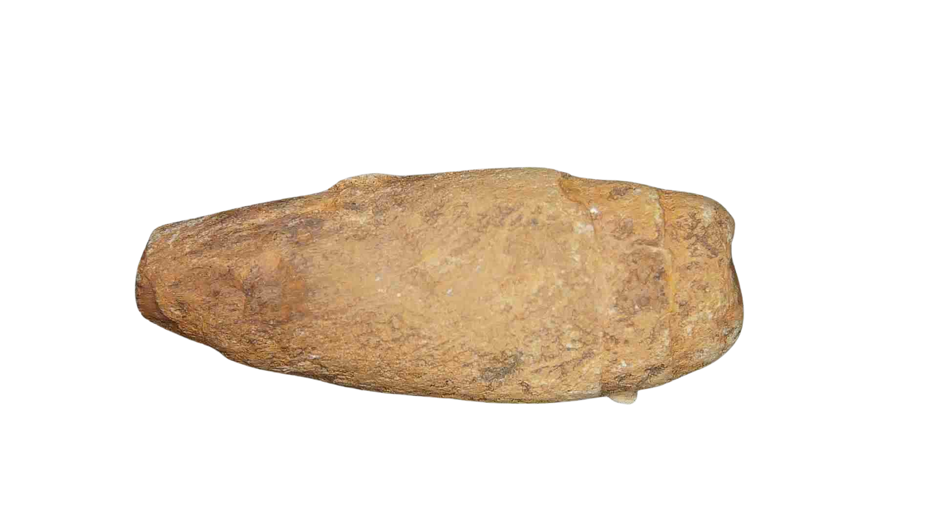 Triassic Age Dinosaur Coprolite from Bull Canyon Formation New Mexico 96b | Fossils for Sale