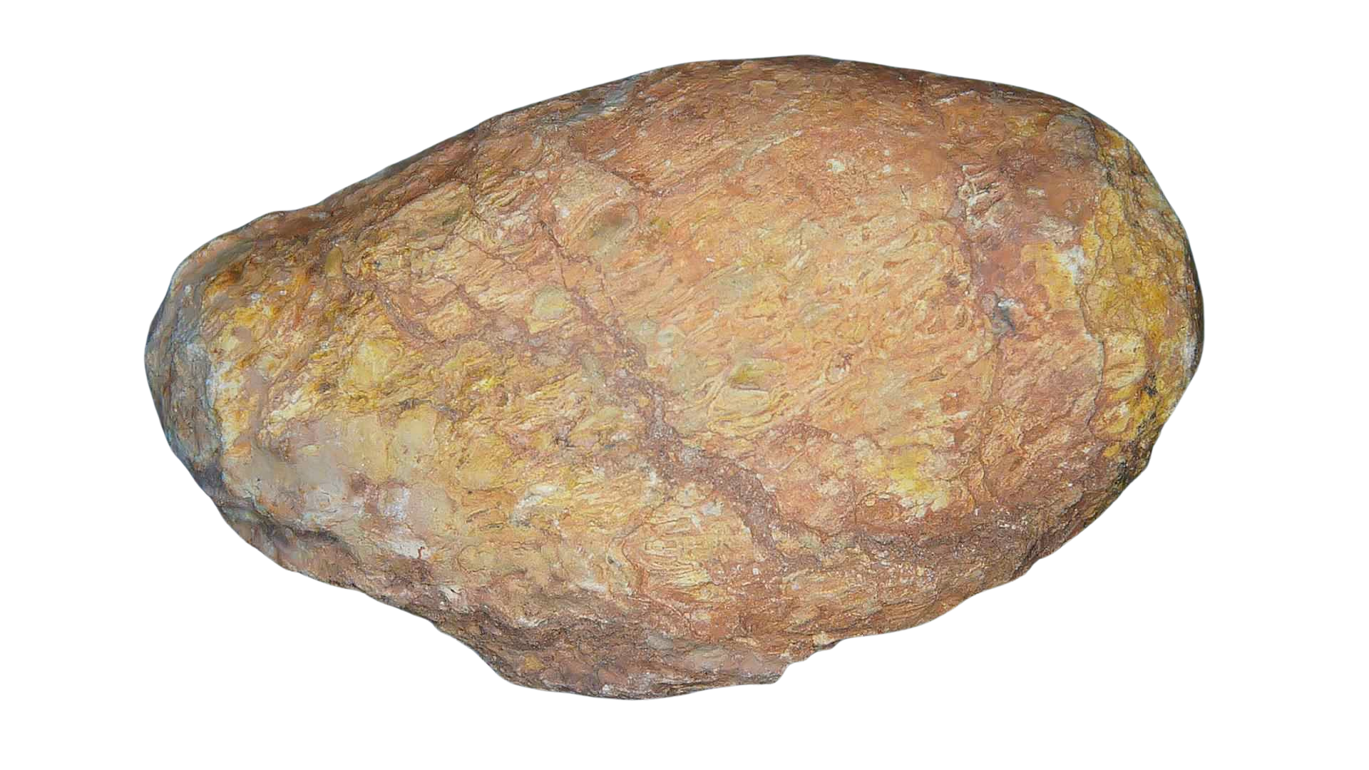 Triassic Age Dinosaur Coprolite from Bull Canyon Formation New Mexico 97a | Fossils for Sale