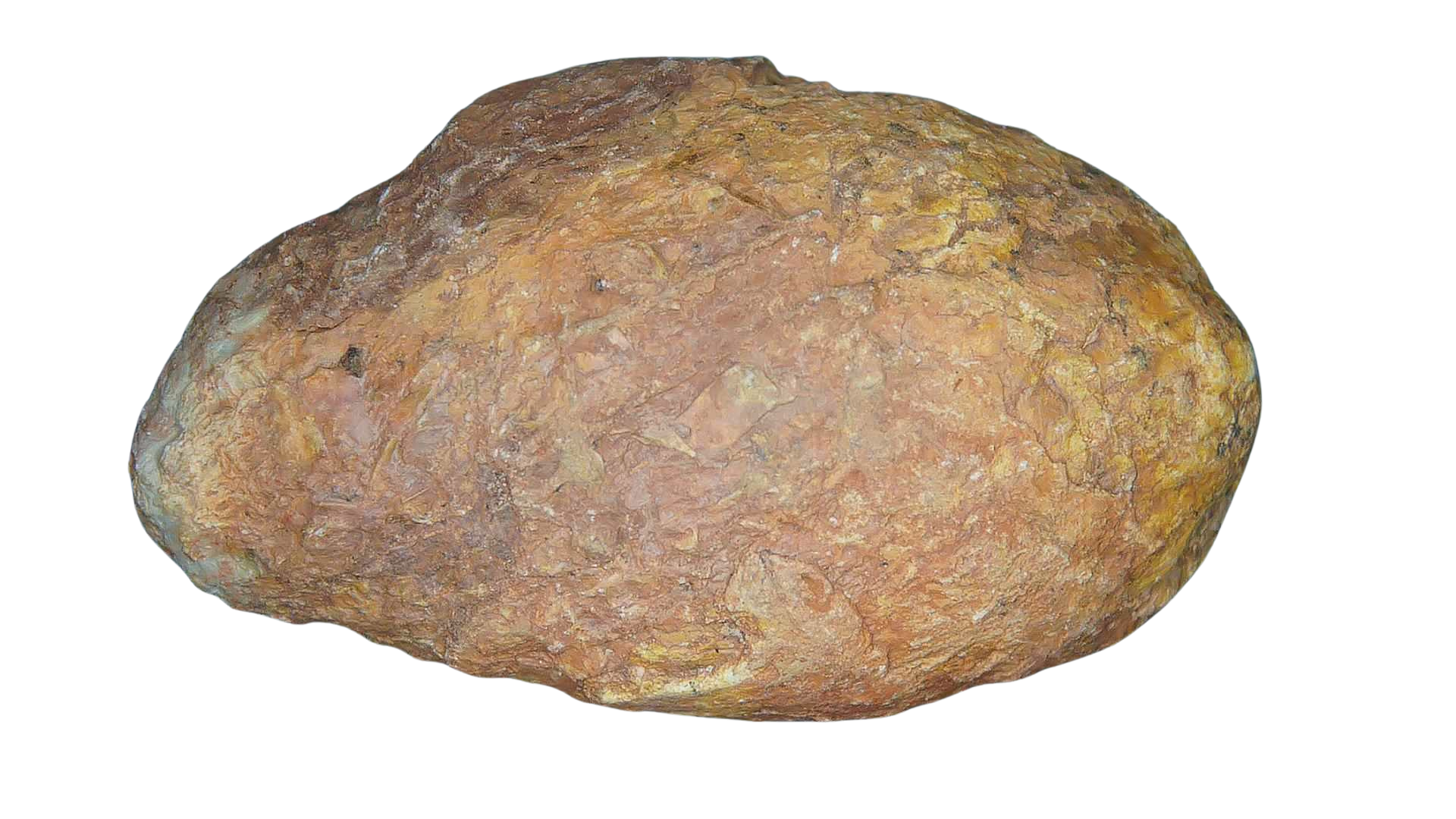 Triassic Age Dinosaur Coprolite from Bull Canyon Formation New Mexico 97b | Fossils for Sale