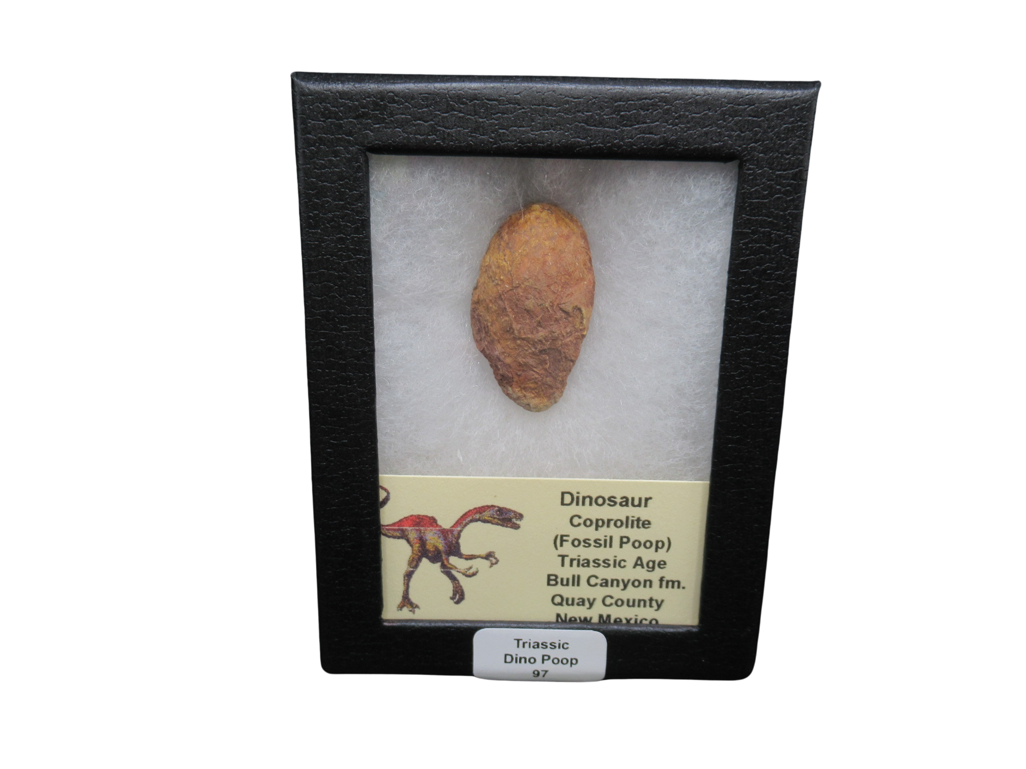 Triassic Age Dinosaur Coprolite from Bull Canyon Formation New Mexico 97c | Fossils for Sale