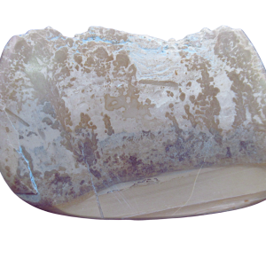 Genuine Triassic Age Cotham Marble Stromatolite Fossil for Sale from England #32