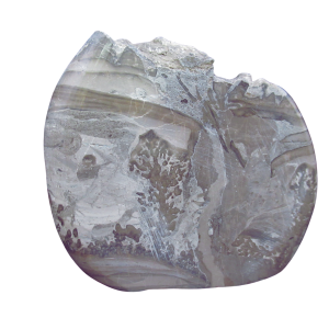 Genuine Triassic Age Cotham Marble Stromatolite Fossil for Sale from England #36