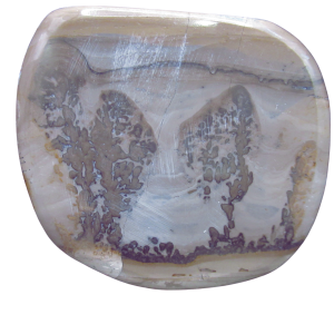 Genuine Triassic Age Cotham Marble Stromatolite Fossil for Sale from England #39