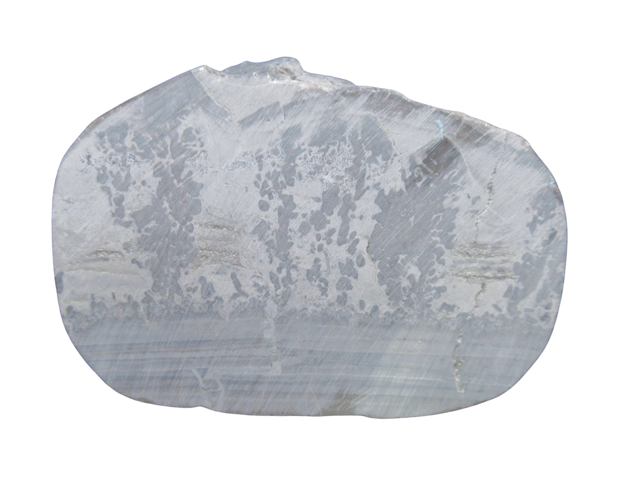 Triassic Cotham Marble Stromatolite from England 44a | Fossils for Sale Genuine Triassic Age Cotham Marble Stromatolite Fossil for Sale from England #44a
