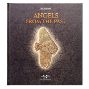 Angels From the Past - A Coffee Table Book by Stefano Piccini