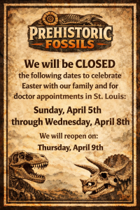 Prehistoric Fossils Will Be Closed April 5th- April 8th Image (Easter)