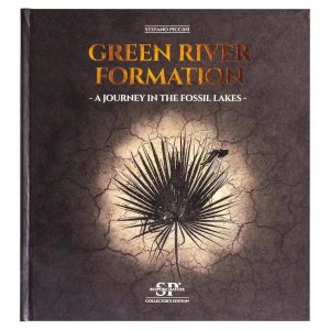 Green River Formation - A Journey in the Fossil Lakes by Stefano Piccini