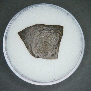 Oviraptor Dinosaur Egg Shell Cretaceous Age from China #61