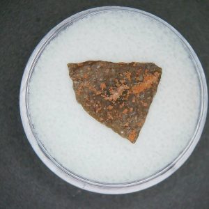 Oviraptor Dinosaur Egg Shell Cretaceous Age from China #64