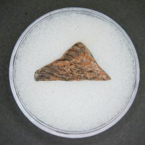 Oviraptor Dinosaur Egg Shell Cretaceous Age from China #70