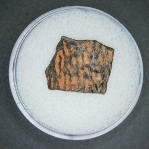 Oviraptor Dinosaur Egg Shell Cretaceous Age from China #73